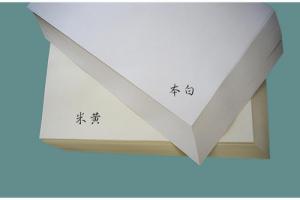 道林紙